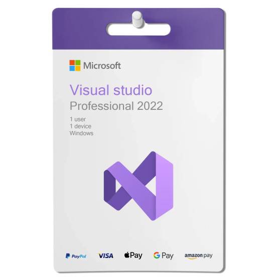 Microsoft Visual Studio Professional 2022