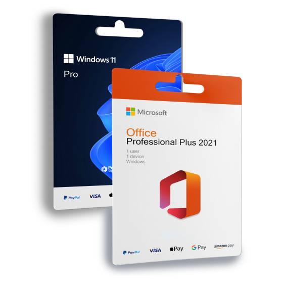 Office Professional Plus 2021 + Windows 11 Pro
