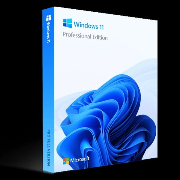 Windows 11 Professional Digital License